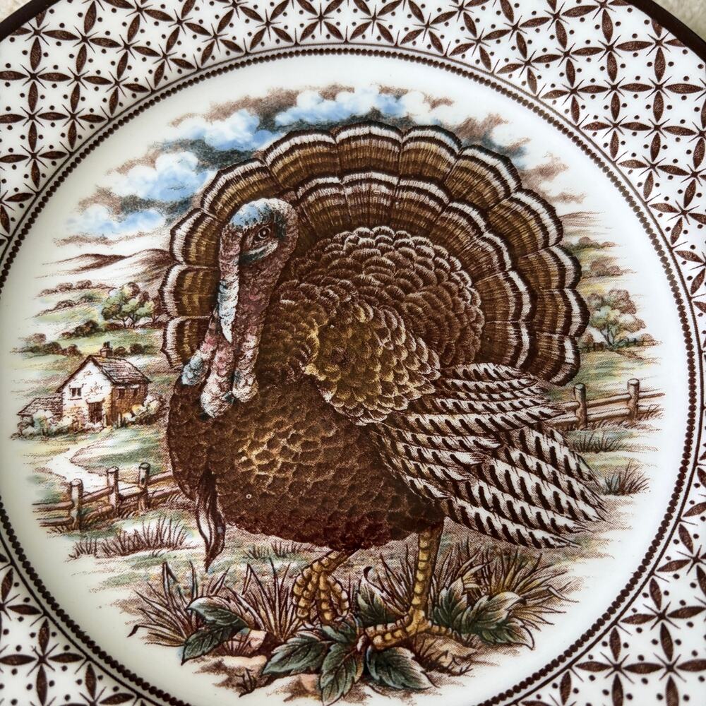 4 Royal Stafford Thanksgiving TURKEY Porcelain Salad Plates 8in England NEW - Picture 7 of 11